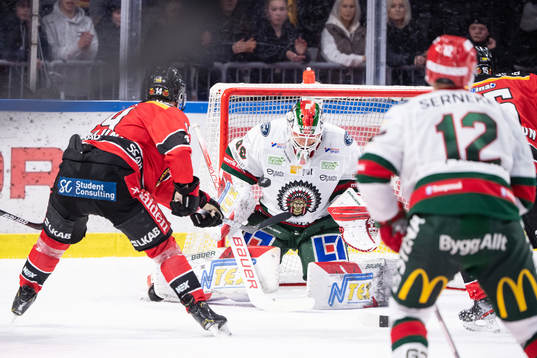 Frölundas målvakt Matthew Tomkins