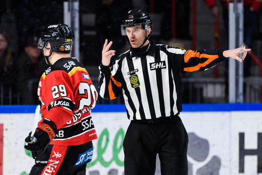 Domare Richard Magnusson