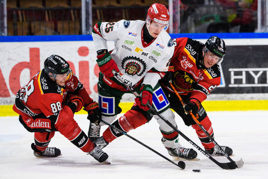 Luleås Joonas Rask, Frölundas Elmer Söderblom och