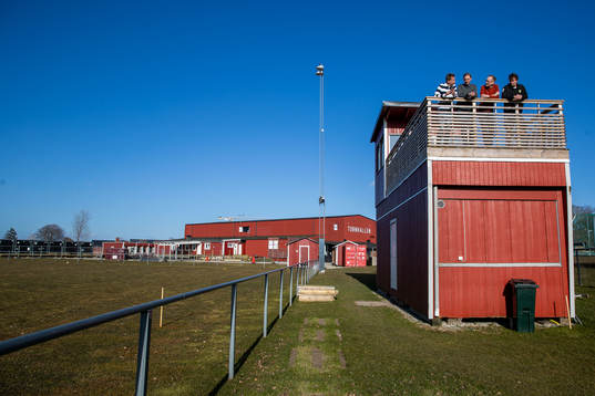 Tim Nielsen, Andreas Wallerstig, Markus Ringnér och