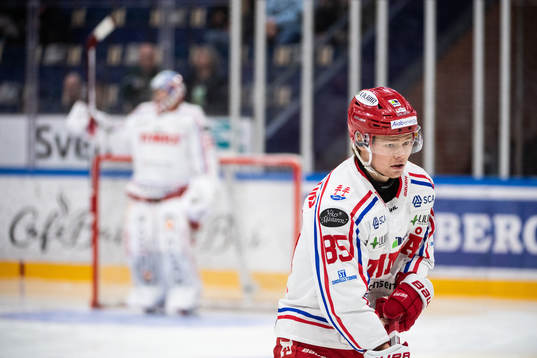 Timrås Filip Westerlund