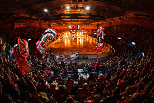 Scandinavium