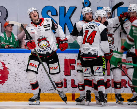 Malmö Redhawks Eric Engstrand jublar