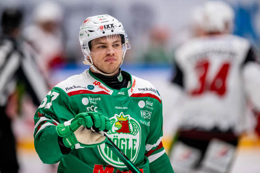 Rögles Leon Bristedt deppar