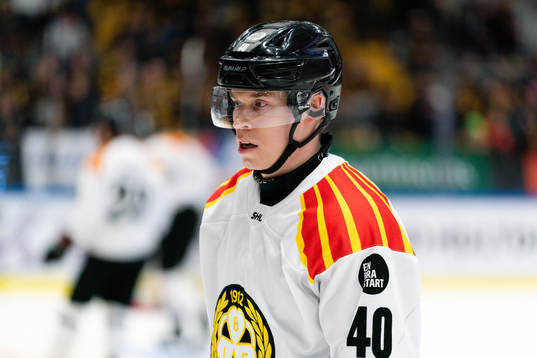 Brynäs Tomi Sallinen