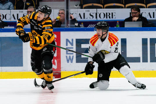 Skellefteås Jonathan Johnson och Brynäs Adam Pettersson
