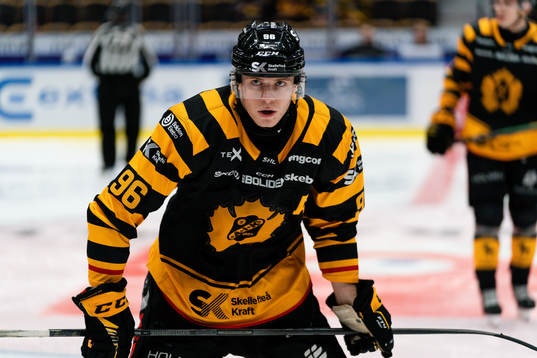 Skellefteås Rickard Hugg