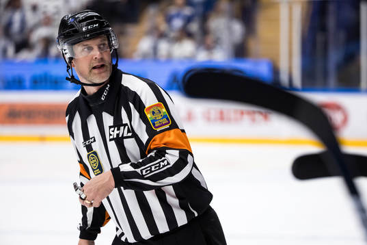 Domare Mikael Nord