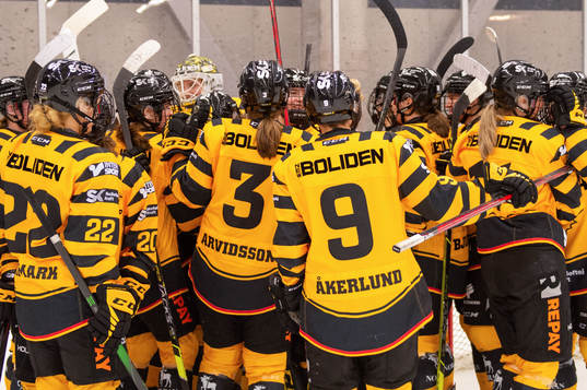 Skellefteås spelare jublar