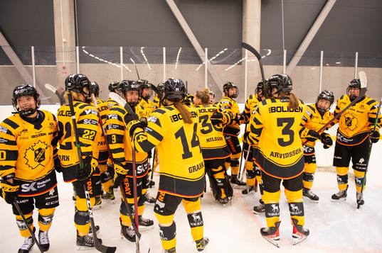 Skellefteås spelare jublar
