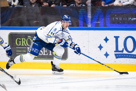 Leksands Carter Ashton