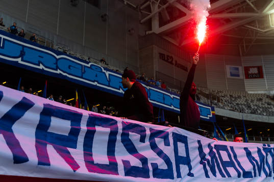 En djurgårdssupporter med en bengal