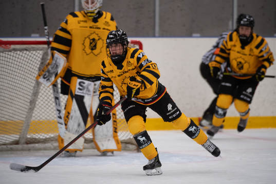 Skellefteås Ellen Lövgren