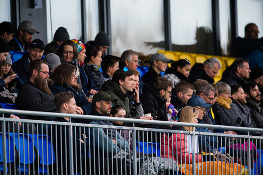 Spectators in the stands