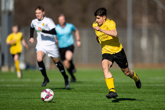 Elfsborgs Dion Rujkovci