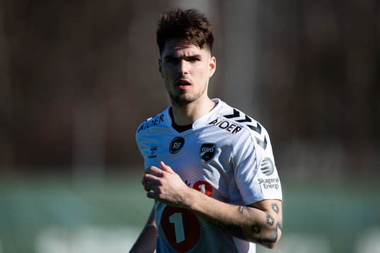 Odds Ivan Mesik