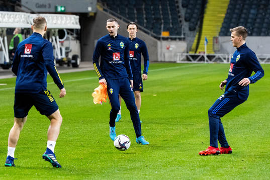 Branimir Hrgota of the Swedish national football team