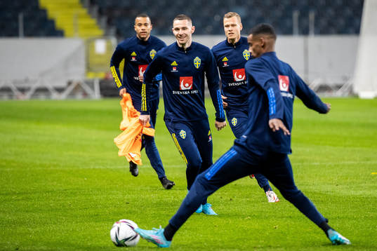 Branimir Hrgota of the Swedish national football team