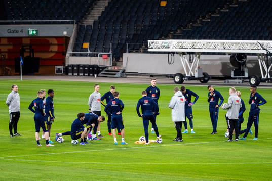 Players and coaches of the Swedish national football team