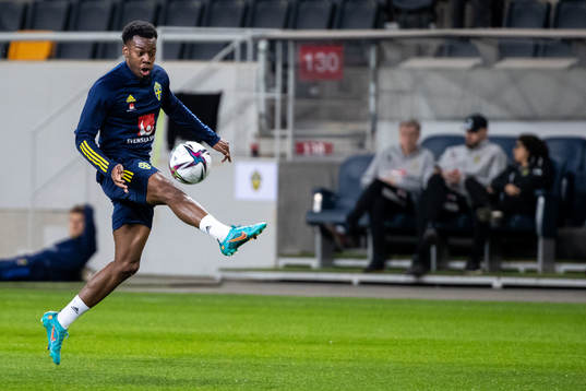 Bläddra bland fler bilder av Football, FIFA World Cup Qualifier, Training & Press Conference, Sweden 