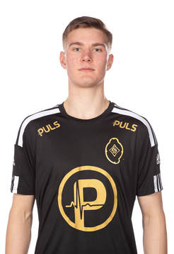 Skövdes David Engelbrektsson