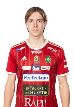 Skövdes David Frisk