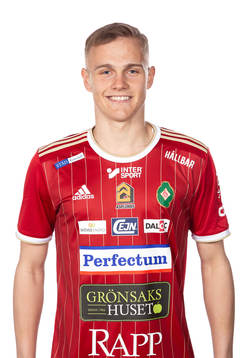 Skövdes Gustav Friberg
