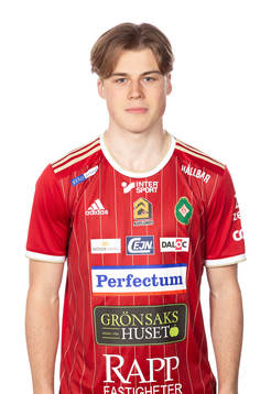 Skövdes Linus Mattsson