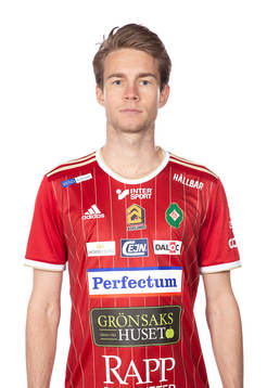 Skövdes Mikael Mörk