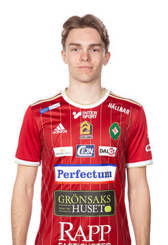 Skövdes Samuel Glad