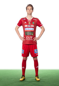 Skövdes Mikael Mörk