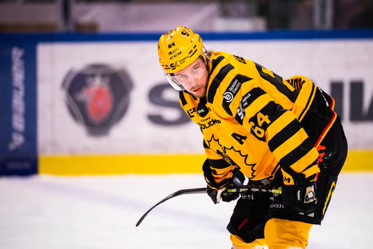 Skellefteås Jonathan Pudas deppar