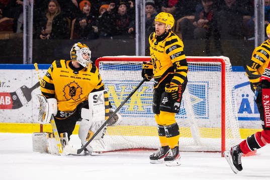 Skellefteås målvakt Gustaf Lindvall och Michael Kapla