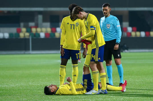 Sveriges Fredrik Nissen