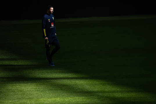 Bläddra bland fler bilder av Football, FIFA World Cup Qualifier, Sweden, training & press conference