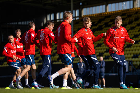 Martin Ødegaard, Alexander Sørloth and players of the