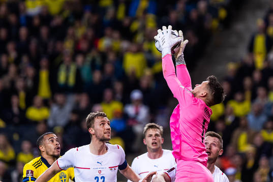 goalkeeper Tomas Vaclik of Czech Republic