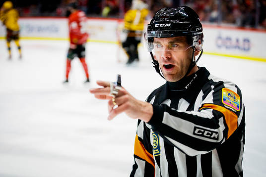 Domare Richard Magnusson