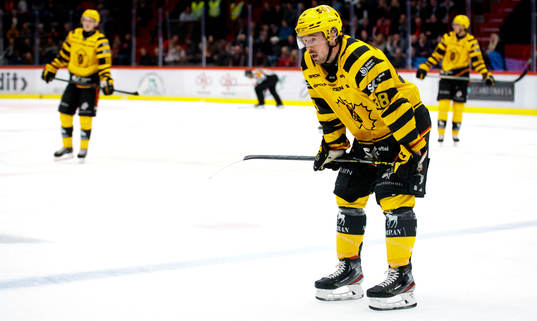 Skellefteås Jayce Hawryluk deppar