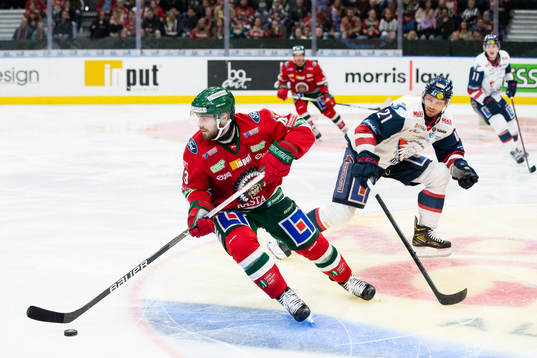 Frölundas Michael Spacek och Linköpings Christoffer Ehn