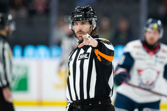 Domare Mikael Sjöqvist
