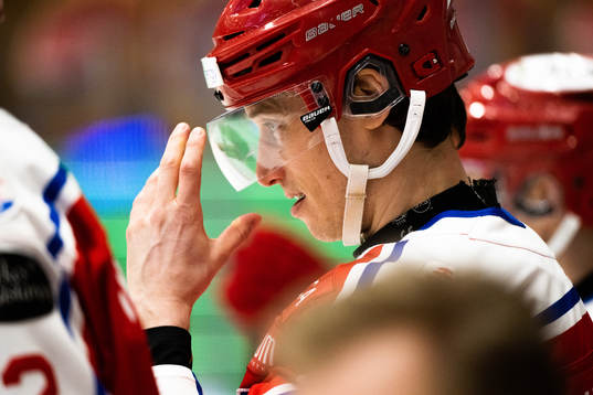 Timrås Robin Alvarez