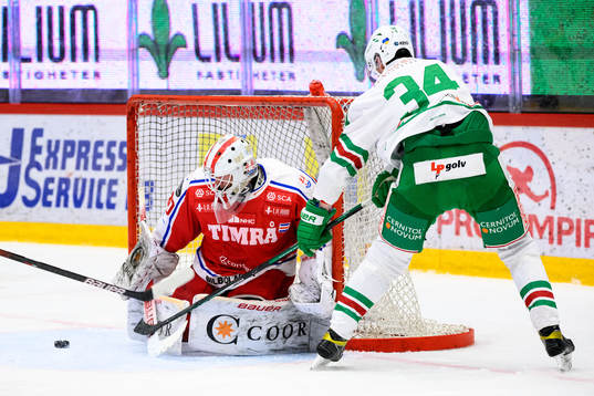 Bläddra bland fler bilder av Ishockey, SHL, Timrå - Rögle