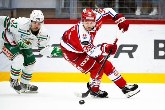 Timrås Ty Rattie