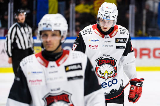 Malmö Redhawks Eric Engstrand deppar