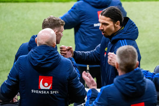 Zlatan Ibrahimovoc of Sweden celebrates