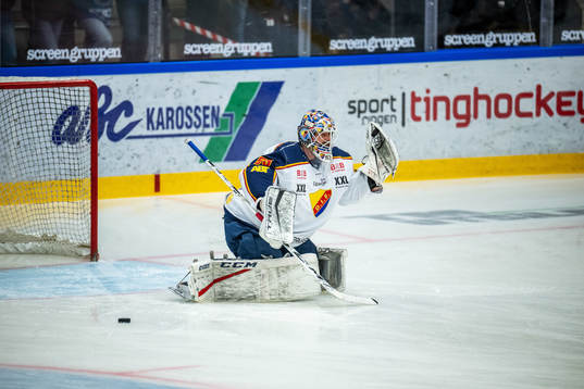 Djurgårdens målvakt Alexander Salak