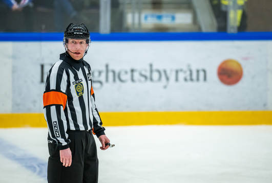 Domare Mikael Holm