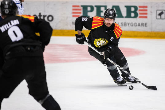Brynäs Anton Rödin