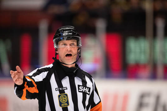 Domare Mikael Nord